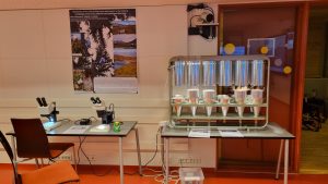 Photo of the experimental setup, a poster and a bench with 2 stereomicroscopes