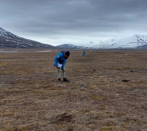 A researcher wearing a blue jacket holds a notebook and looks at an object laying on the grass and low vegetation, snowy mountains of Svalbard are visible in the background